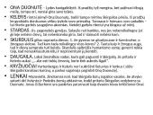 Vincas Krėvė - Mickevičius. Drama – ,,Skirgaila” 11 puslapis