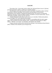 Verslo planas: kaimo turizmo sodyba 2 puslapis