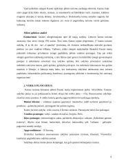 Verslo planas: kaimo turizmo sodyba 4 puslapis