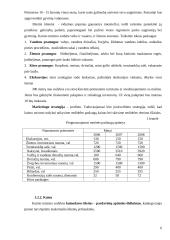 Verslo planas: kaimo turizmo sodyba 6 puslapis