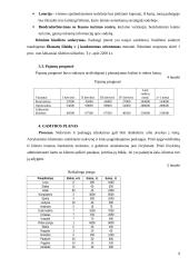 Verslo planas: kaimo turizmo sodyba 9 puslapis