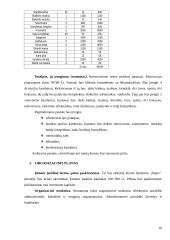 Verslo planas: kaimo turizmo sodyba 10 puslapis