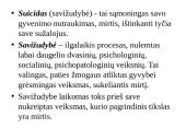 Suicidas (savižudybė) 2 puslapis