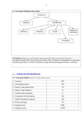 Verslo planas: kavinė "Erdvė" 11 puslapis