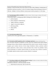 Verslo planas: kavinė "Erdvė" 5 puslapis