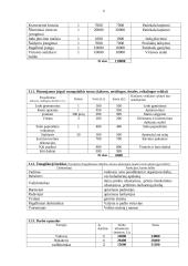 Verslo planas: kavinė "Erdvė" 8 puslapis