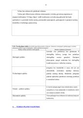 Verslo planas: kavinė "Erdvė" 10 puslapis