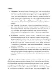 Vincas Mykolaitis – Putinas. XX a. vidurio modernioji literatūra 2 puslapis