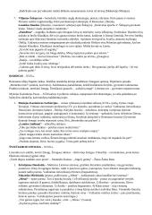 Visų autorių konspektas 2 puslapis