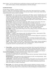 Visų autorių konspektas 11 puslapis