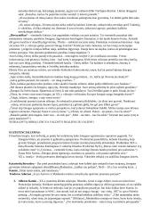 Visų autorių konspektas 12 puslapis