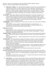 Visų autorių konspektas 14 puslapis