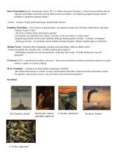 Visų autorių konspektas 17 puslapis