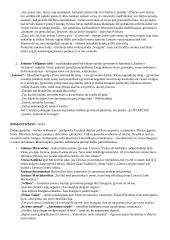 Visų autorių konspektas 3 puslapis