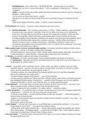 Visų autorių konspektas 9 puslapis