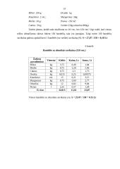 Verslo planas: kepykla UAB "Gardukas" 13 puslapis