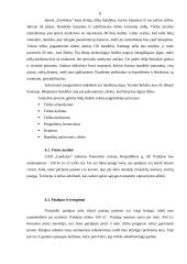 Verslo planas: kepykla UAB "Gardukas" 8 puslapis