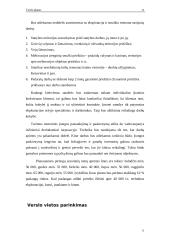 Verslo planas: melioracijos darbai UAB "MELIORIUKAS" 11 puslapis