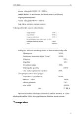 Verslo planas: melioracijos darbai UAB "MELIORIUKAS" 13 puslapis