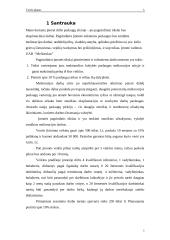 Verslo planas: melioracijos darbai UAB "MELIORIUKAS" 3 puslapis