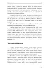 Verslo planas: melioracijos darbai UAB "MELIORIUKAS" 8 puslapis