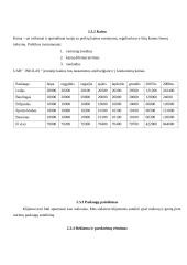 Verslo planas: pramogų centras UAB "Inkilas" 11 puslapis