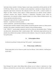 Verslo planas: pramogų centras UAB "Inkilas" 14 puslapis