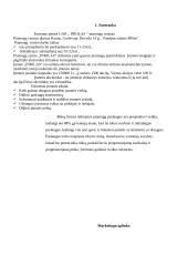 Verslo planas: pramogų centras UAB "Inkilas" 3 puslapis