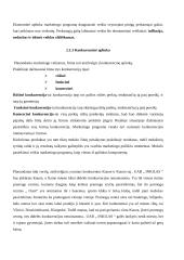 Verslo planas: pramogų centras UAB "Inkilas" 5 puslapis