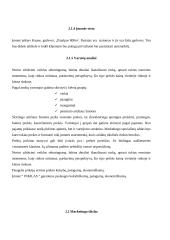 Verslo planas: pramogų centras UAB "Inkilas" 6 puslapis