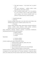 Verslo planas: pramogų centras UAB "Inkilas" 8 puslapis