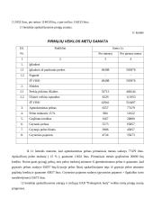 Verslo planas: prekyba buitine technika UAB "Palengvink buitį" 20 puslapis