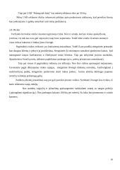 Verslo planas: prekyba buitine technika UAB "Palengvink buitį" 10 puslapis