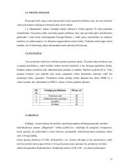 Verslo planas: prekyba kompiuteriais ir kompiuterine įranga IĮ "Megabaitas" 13 puslapis