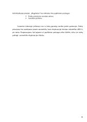 Verslo planas: prekyba kompiuteriais ir kompiuterine įranga IĮ "Megabaitas" 16 puslapis