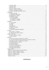 Verslo planas: prekyba kompiuteriais ir kompiuterine įranga IĮ "Megabaitas" 4 puslapis