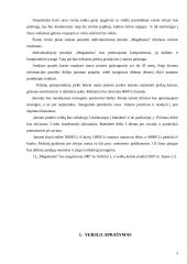 Verslo planas: prekyba kompiuteriais ir kompiuterine įranga IĮ "Megabaitas" 5 puslapis