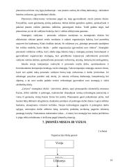 Verslo planas: restoranas "Lietuva" Kaune 14 puslapis