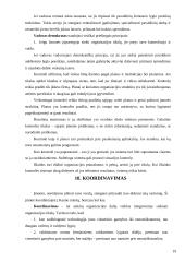 Verslo planas: restoranas "Lietuva" Kaune 19 puslapis