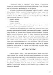 Verslo planas: restoranas "Lietuva" Kaune 20 puslapis