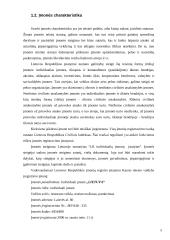 Verslo planas: restoranas "Lietuva" Kaune 5 puslapis