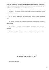 Verslo planas: restoranas "Lietuva" Kaune 8 puslapis