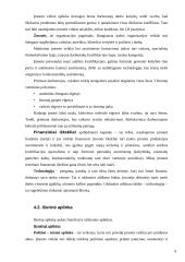 Verslo planas: restoranas "Lietuva" Kaune 9 puslapis