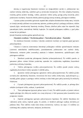 Verslo planas: restoranas "Obuolys" Ukmergėje 12 puslapis