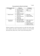 Verslo planas: žuvies ir jūros gėrybių pardavimas UAB "Mėlynasis banginis" 11 puslapis