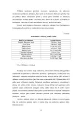 Verslo planas: žuvies ir jūros gėrybių pardavimas UAB "Mėlynasis banginis" 13 puslapis