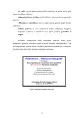 Verslo planas: žuvies ir jūros gėrybių pardavimas UAB "Mėlynasis banginis" 14 puslapis