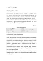 Verslo planas: žuvies ir jūros gėrybių pardavimas UAB "Mėlynasis banginis" 15 puslapis