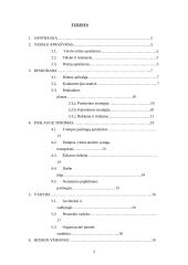 Verslo planas: žuvies ir jūros gėrybių pardavimas UAB "Mėlynasis banginis" 3 puslapis