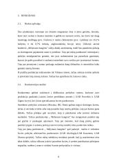 Verslo planas: žuvies ir jūros gėrybių pardavimas UAB "Mėlynasis banginis" 9 puslapis